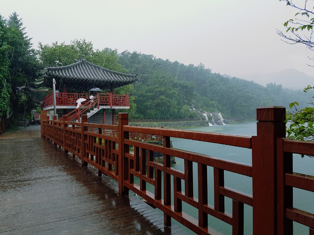KakaoTalk_20170827_065606739.jpg