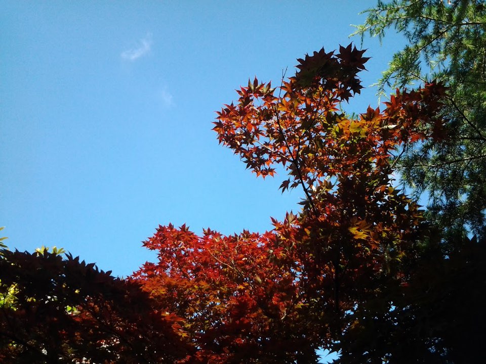colorful.jpg