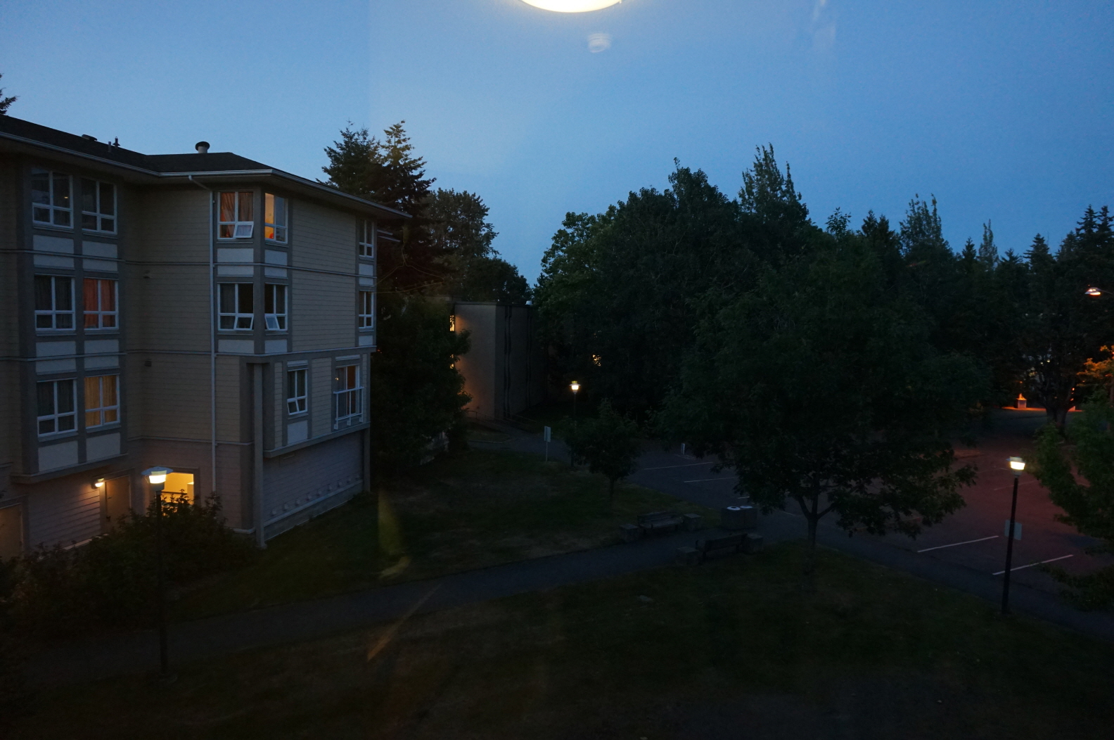 DSC02933.JPG