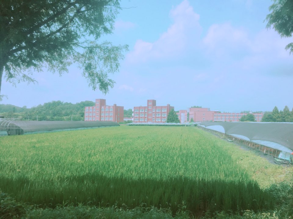 창평고.jpg