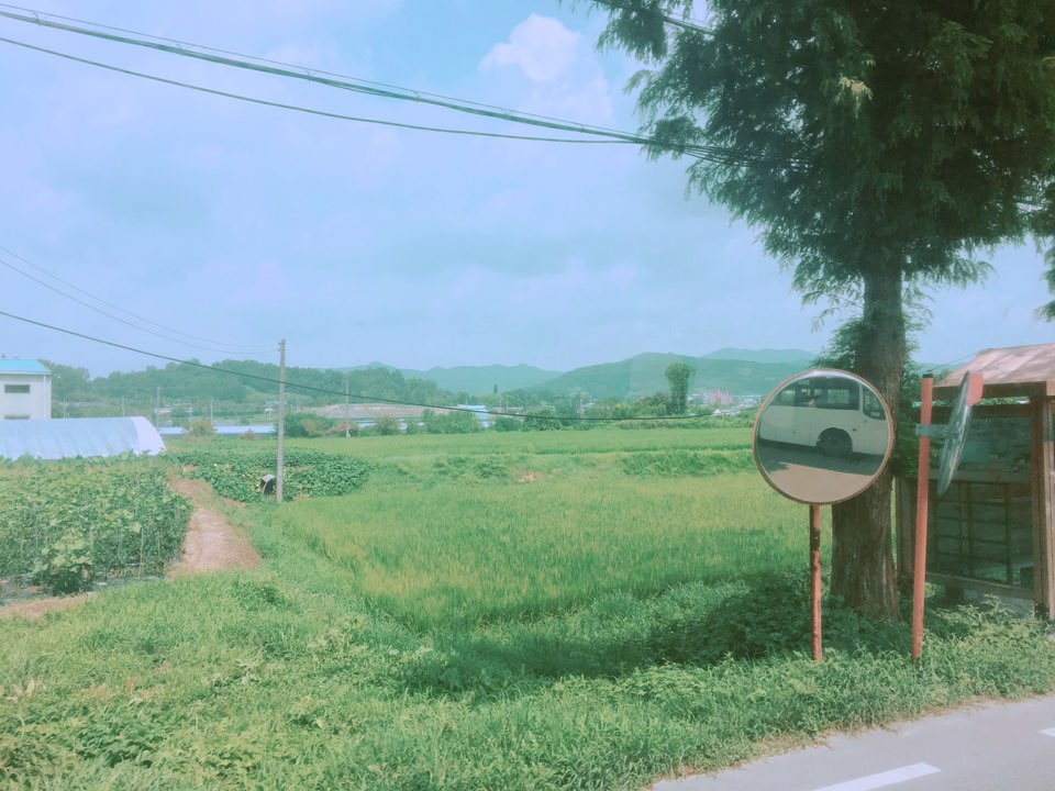 창문 속 시골.jpg