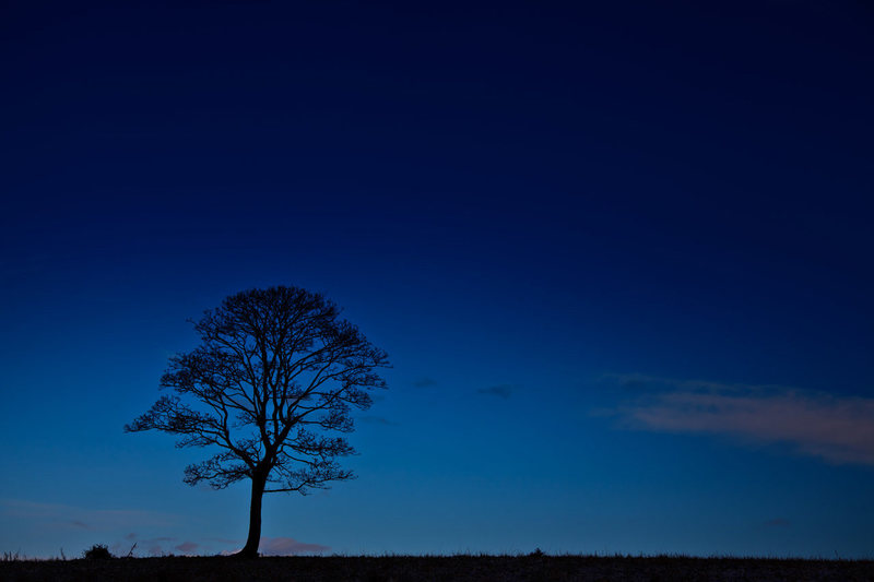 blue.jpg