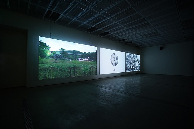 송상희_02.jpg