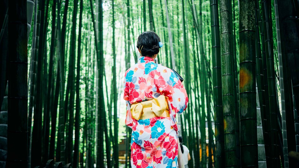 bamboo-trees-1853316_960_720.jpg