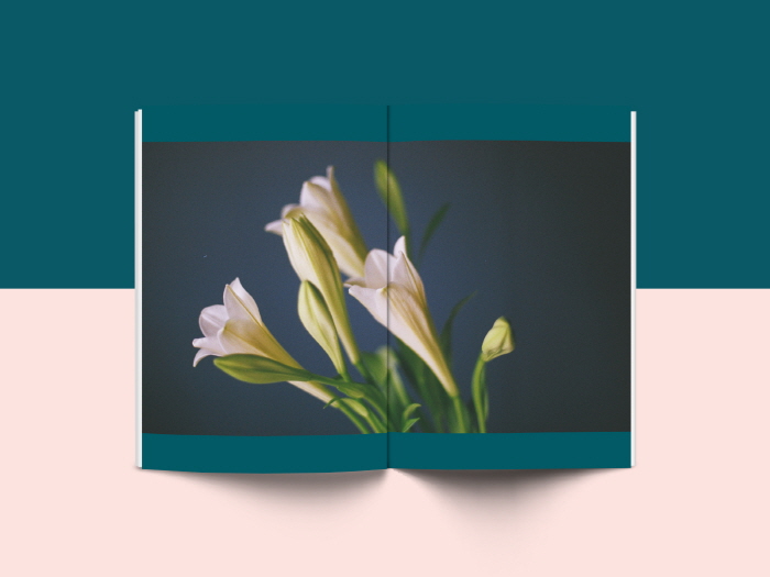 PRISMOf_05_본문_Mockup_10.jpg