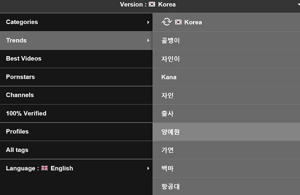 포르노 사이트 검색어.jpg