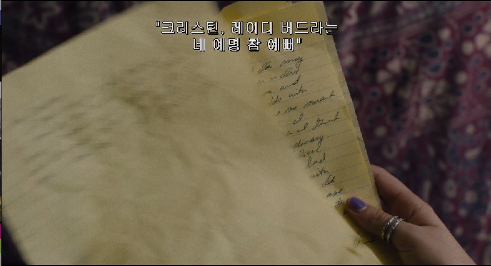 레이디버드8.JPG