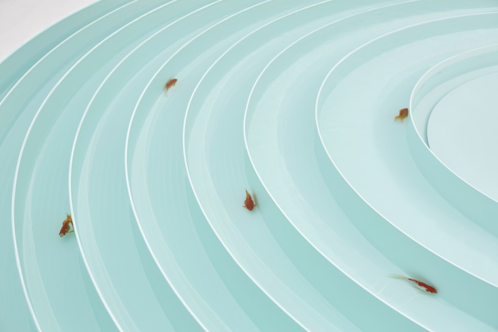 국립현대_안규철_아홉마리금붕어_2015_2-1024x683.jpg
