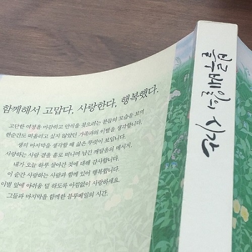 블루베일의시간.jpg