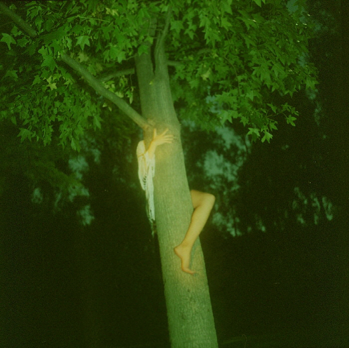 131.jpg