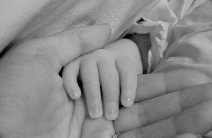 mother-15504_12801.jpg
