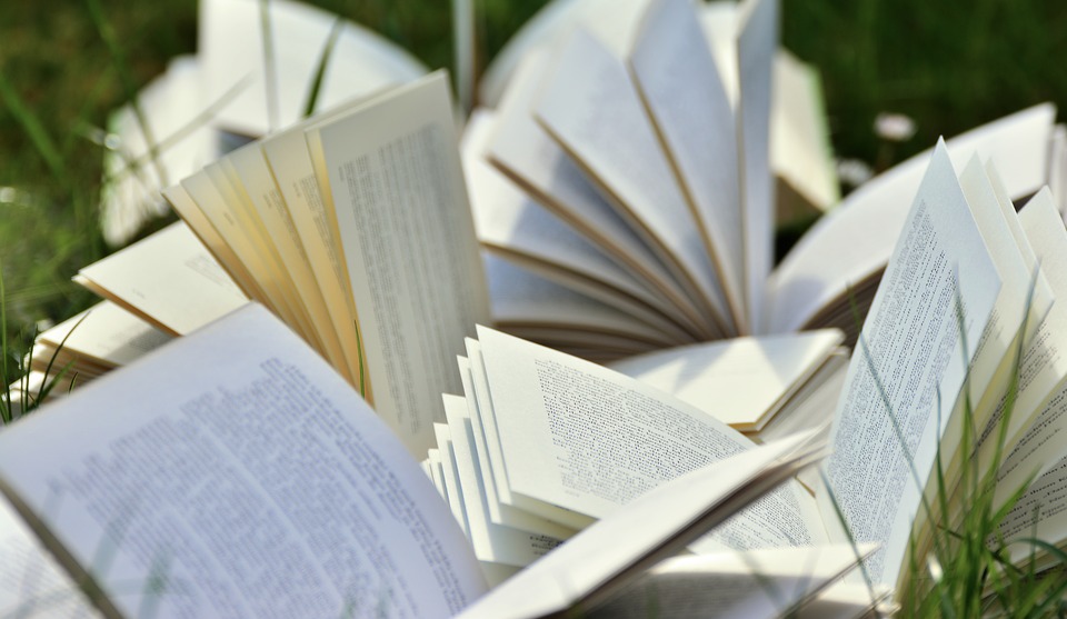 books-2241635_960_720.jpg