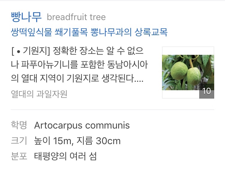 KakaoTalk_20180922_215013636.jpg