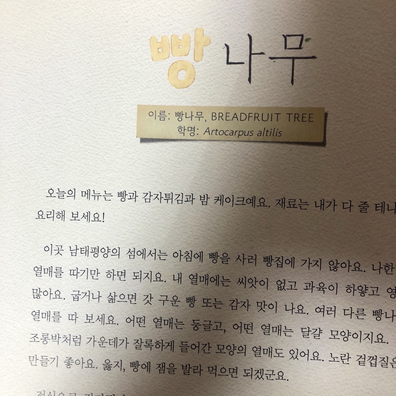 KakaoTalk_20180922_215014384.jpg