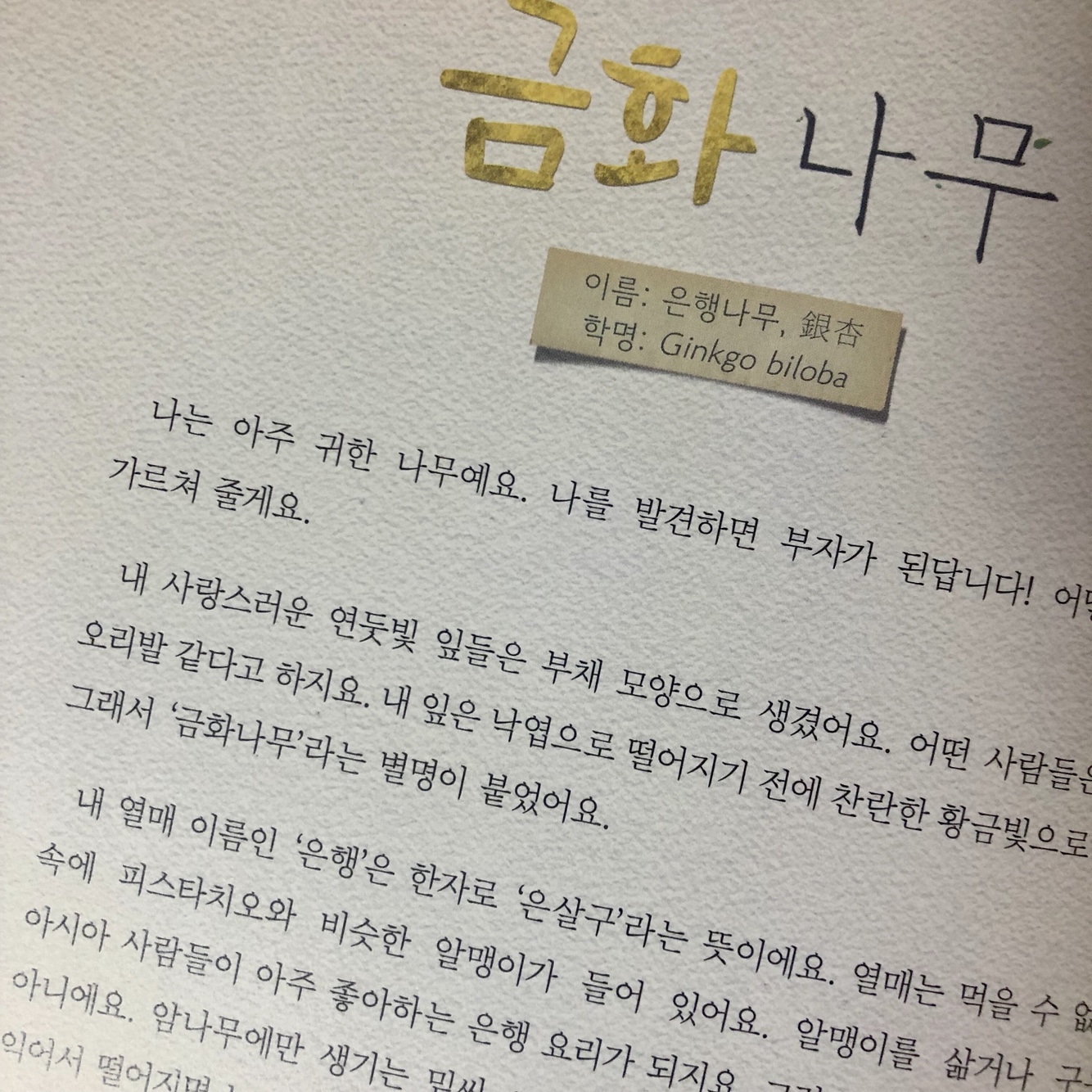KakaoTalk_20180922_215006445.jpg