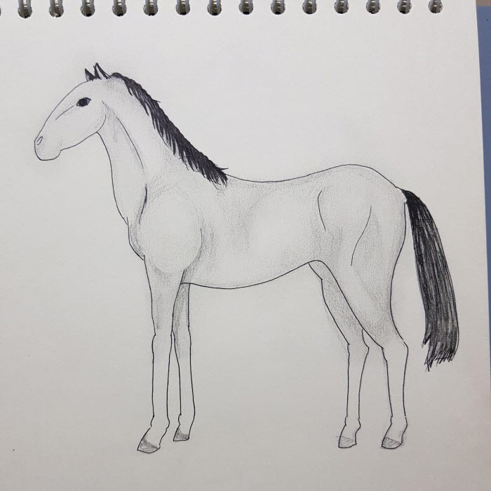 KakaoTalk_Photo_2018-11-29-16-58-12.jpg