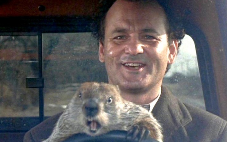 billmurrayphilgroundhogday.jpg