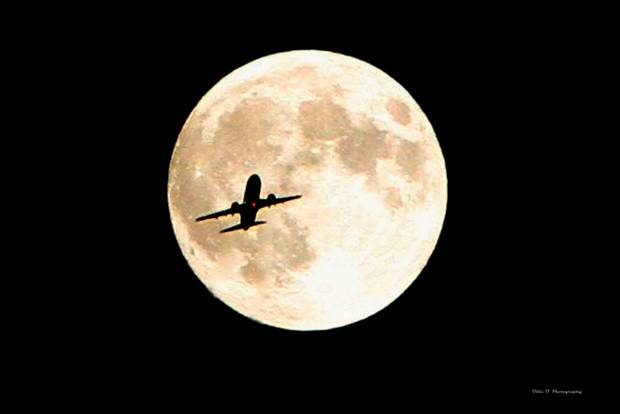 moon.jpg