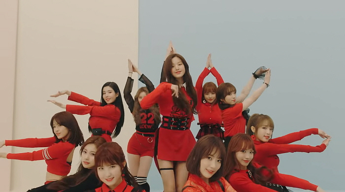 크기변형_rose.jpg
