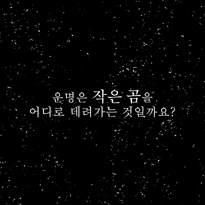 작은곰_카드뉴스_09.jpg