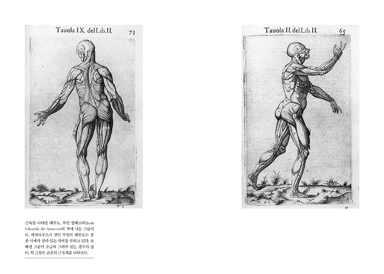 해부학교실-22-23.jpg