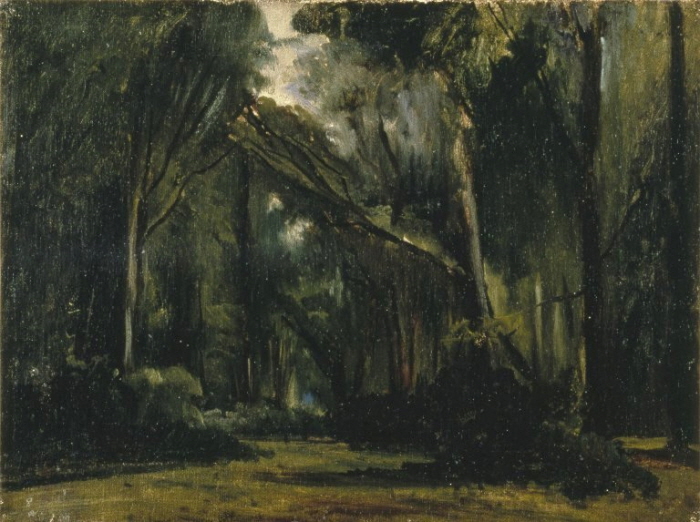 Brooklyn_Museum_-_Landscape_in_the_Forest_at_Compiègne_-_Paul_Huet.jpg