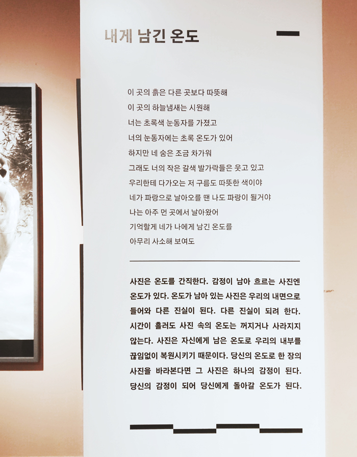삽입이미지1.jpg