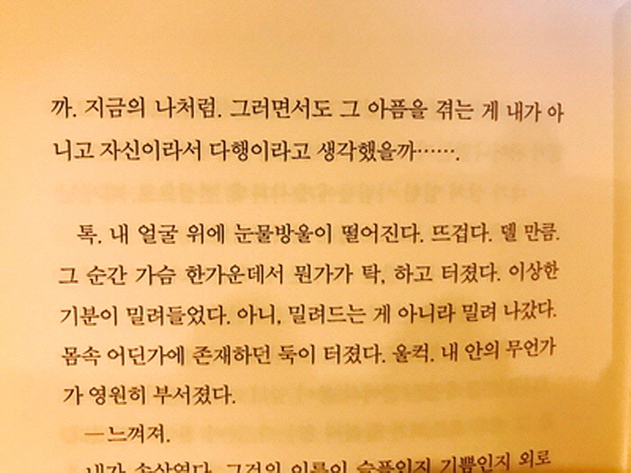 [포맷변환][크기변환]image_3351739581497946618823.jpg
