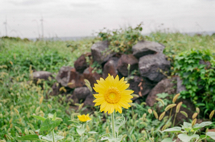 131.jpg