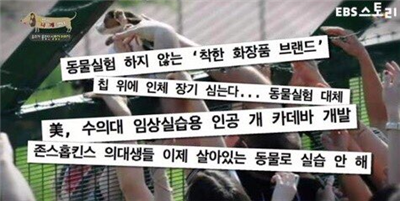 사진0.png