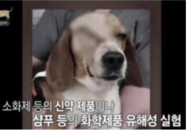 사진1.png