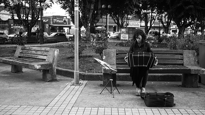반도네온 연주자.jpg