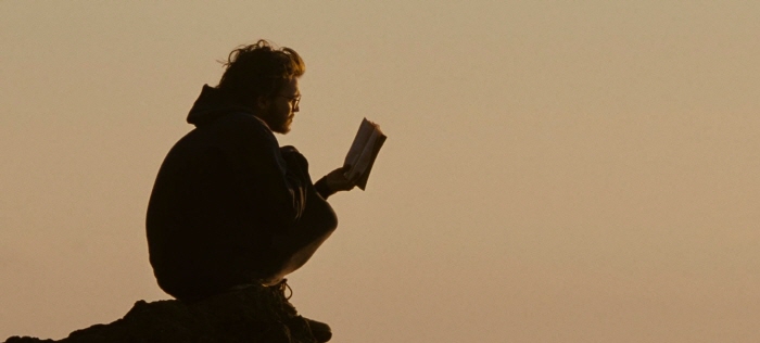 ws_Into_the_Wild_Sunset_1680x1050.jpg