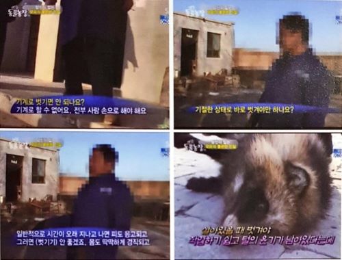 모피2.jpg