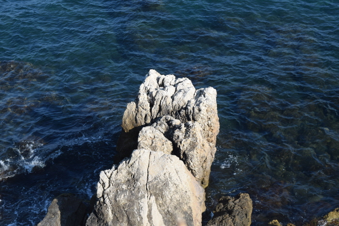 [포맷변환][크기변환]DSC_0270.jpg