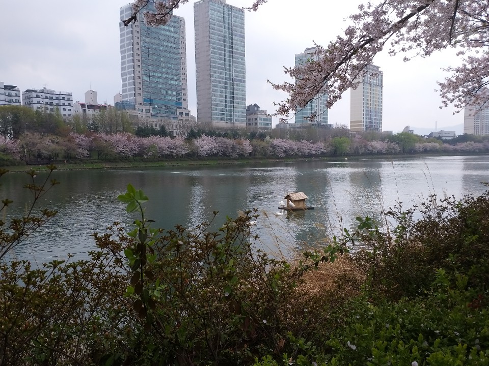 KakaoTalk_20190414_200827265.jpg