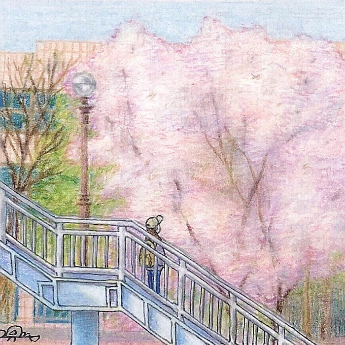 [크기변환+선명도]여백제거.jpg