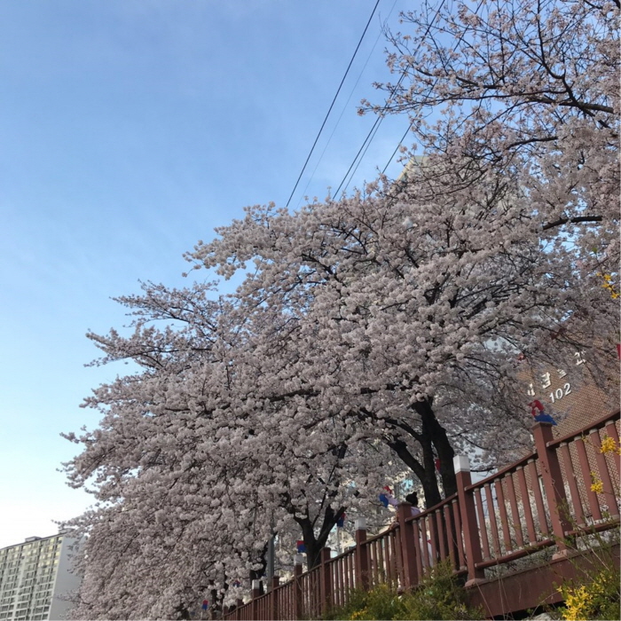 1[크기변환][크기변환].jpg