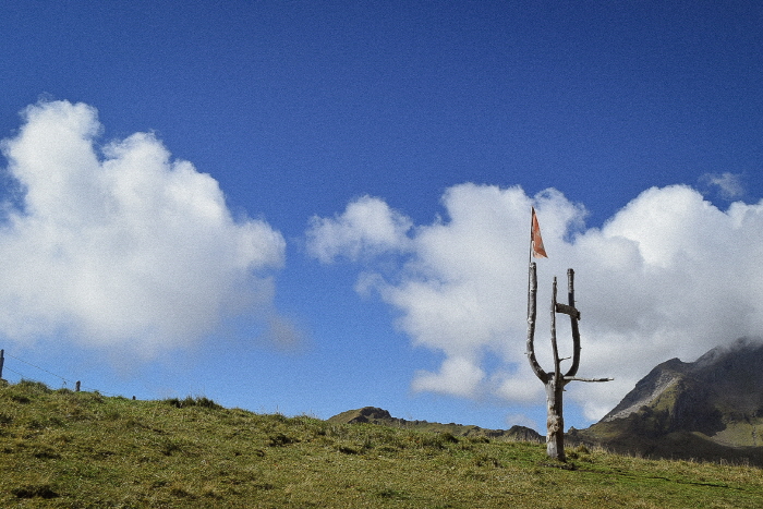 [크기변환]DSC_0777.jpg