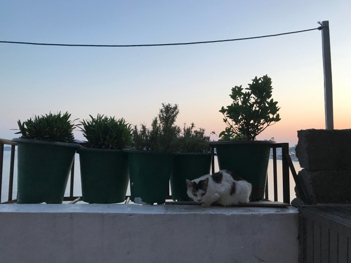[크기변환]KakaoTalk_20190508_003919752.jpg