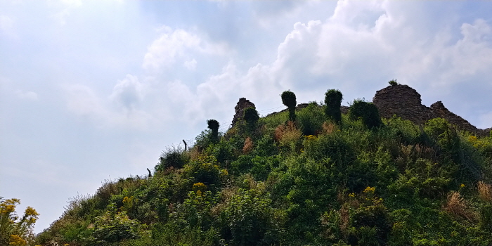 크기변환_20180725_113741_HDR.jpg
