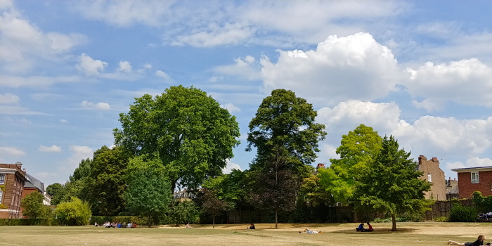 크기변환_20180716_132633_HDR.jpg