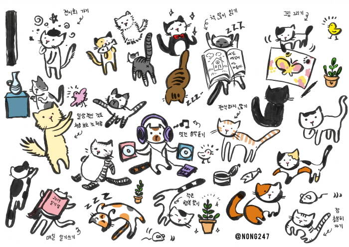 크기변환_cat.jpg