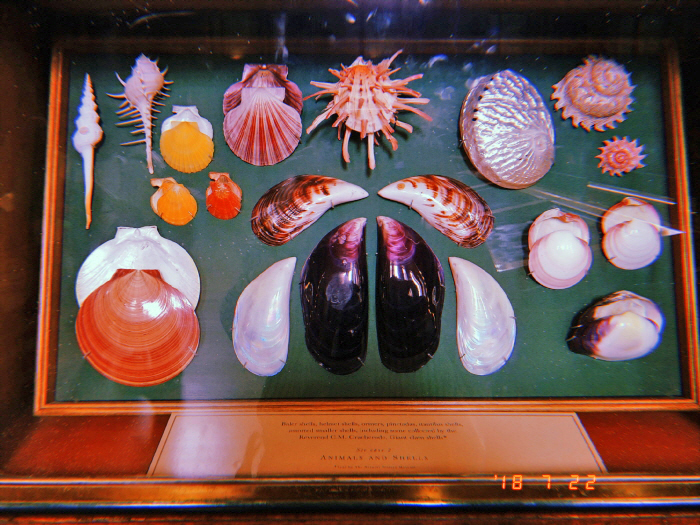 크기변환_20180722_035840_0.jpg