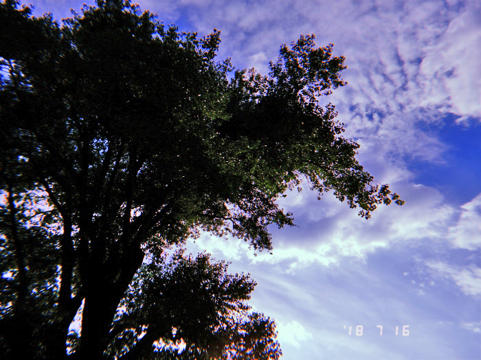 크기변환_20180716_065918_0.jpg