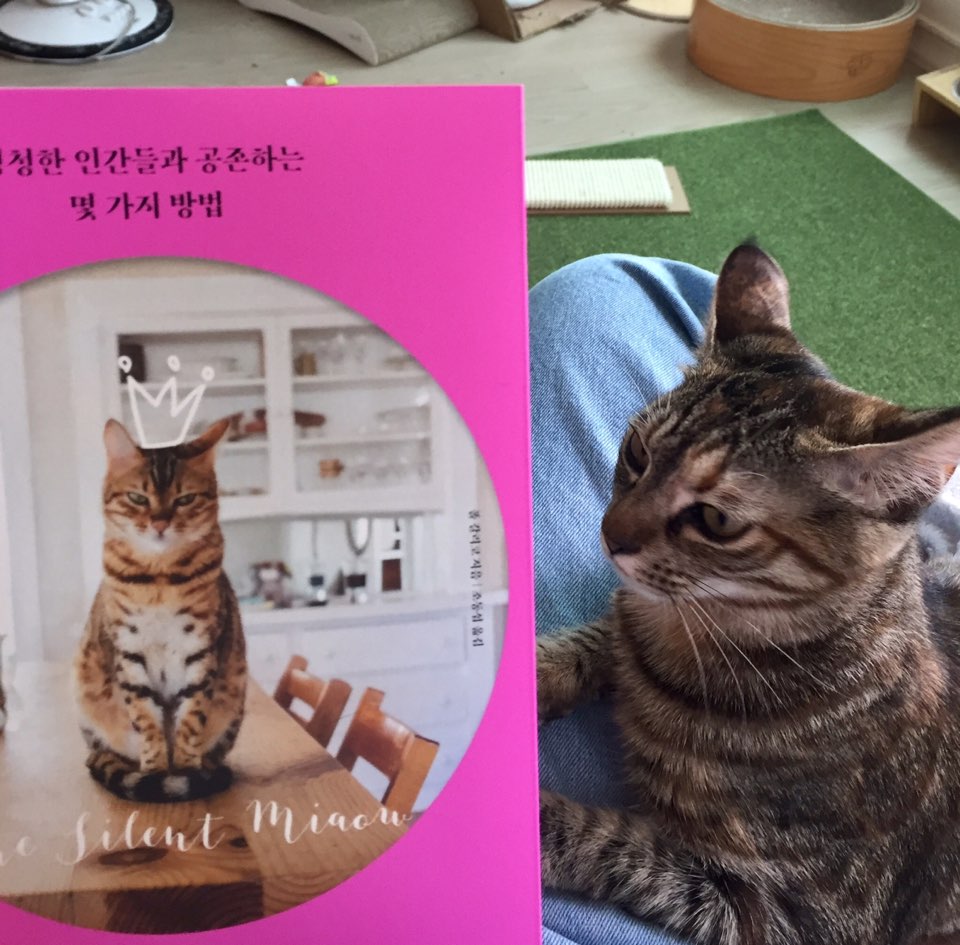 KakaoTalk_20190531_202246949.jpg