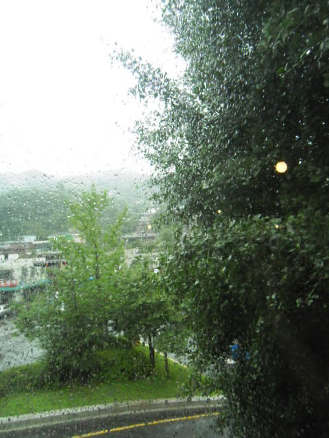 P7160177.jpg