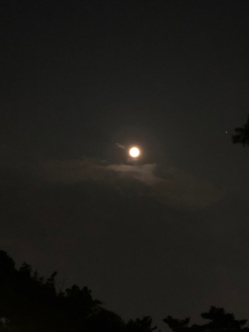 [크기변환]KakaoTalk_20190623_234421933.jpg