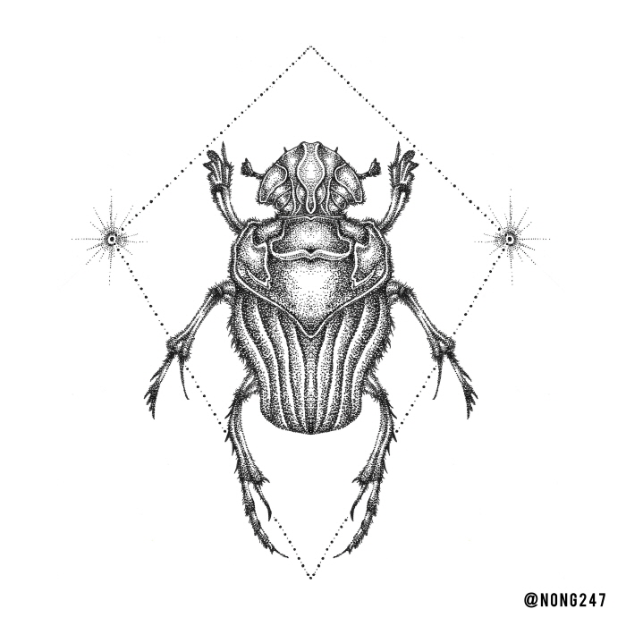 크기변환_dung beetle_insta.jpg