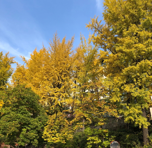[크기변환]KakaoTalk_20190623_000053635.jpg